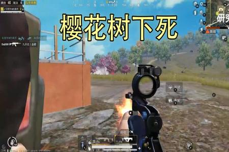你与高手之间只差一个挂和平精英(你和高手之间差在哪儿和平精英)