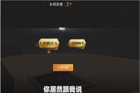 假如和平精英有人开挂会怎么样(和平精英有人开挂该怎么办)