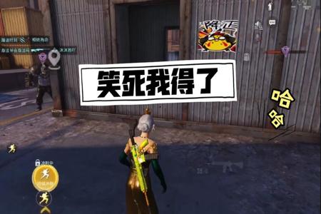 和平精英恶搞队友的外挂声音(和平精英恶搞队友的动作)