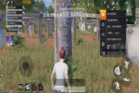 和平精英红旗辅助网站入口