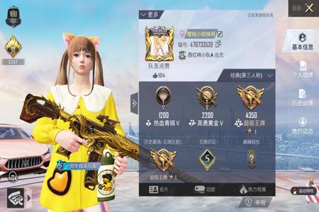 和平精英内部外挂是什么样子(和平精英外挂是什么呢)