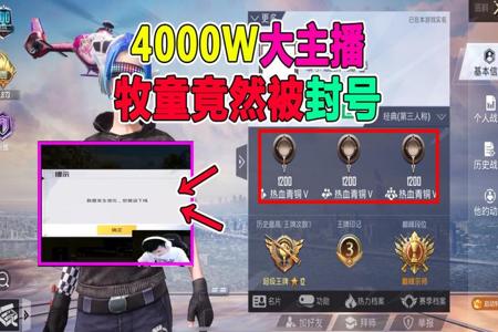 和平精英什么挂会被永久封号(和平精英什么挂容易被封)