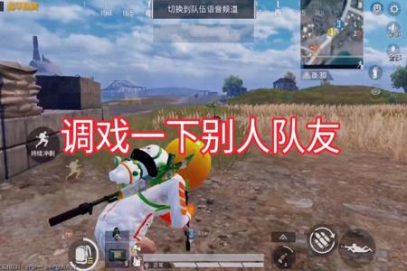 和平精英小学生遇到外挂队友(和平精英遇上外挂队友)