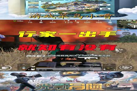 和平精英耐宝到底有没有开挂