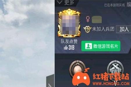 和平精英队友是挂应该怎么办(和平精英队友开挂应该怎么办)