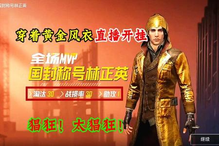和平精英穿着巡查衣遇见外挂（和平精英穿着巡查员的衣服开外挂）