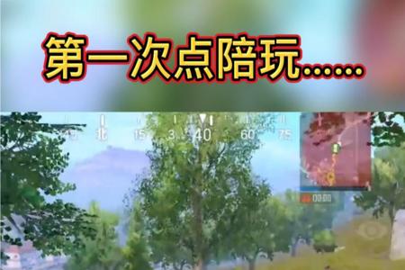 和平精英陪玩俱乐部开挂事件