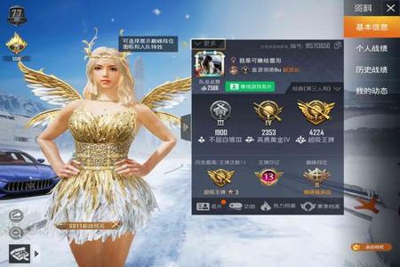 怎么看陪玩是不是挂和平精英(怎么做陪玩接单和平精英)