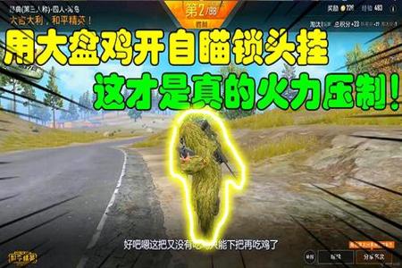 玩和平精英开挂是什么心态啊(玩和平精英开挂是什么样子的)
