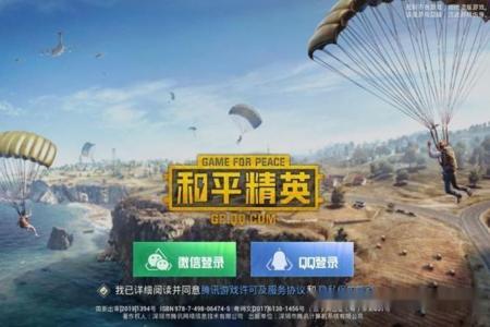 和平精英挂别人名片是什么样子的(和平精英里边开挂是什么样子的)