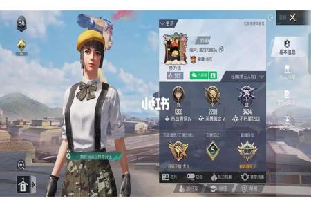 和平精英经常遇到外挂的解说(和平精英遇到外挂最多的人)