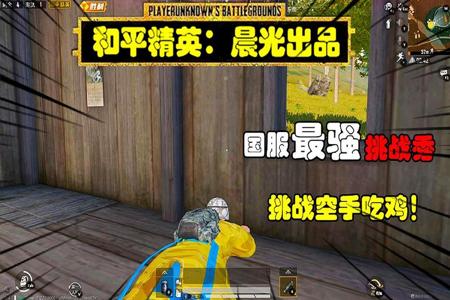 和平精英汤姆巡查员解说外挂(和平精英汤姆解说)