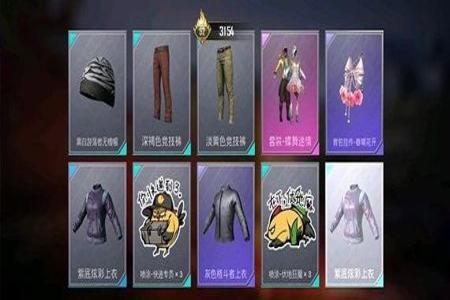和平精英墙上挂的花篮是什么(和平精英墙上挂的花篮)