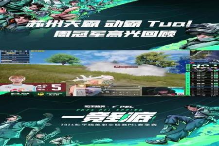 pel和平精英职业联赛nv开挂(pel和平精英职业联赛nv数据)