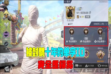 和平精英开挂封掉王者可以玩吗(和平精英开挂封王者吗)