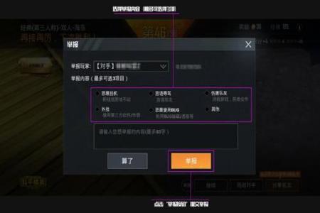 和平精英私人订制的外挂主播(和平精英第一外挂主播)