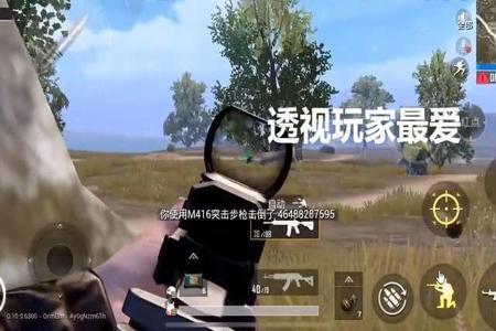 和平精英外挂自瞄是什么效果(和平精英外挂自瞄是什么样的)