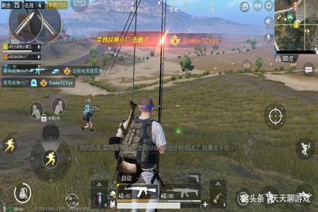 和平精英比挂还要离谱的操作(和平精英开挂的离谱操作)