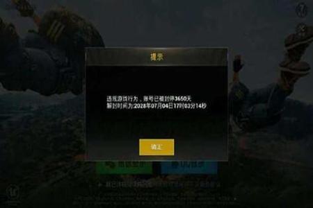 和平精英跟外挂一起会不会封号啊(和平精英跟外挂玩会不会封号)