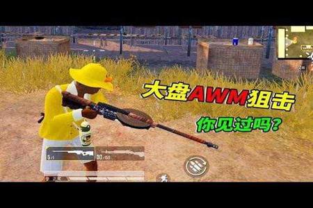 和平精英锁血透视锁头挂V10(和平精英锁血挂教程)