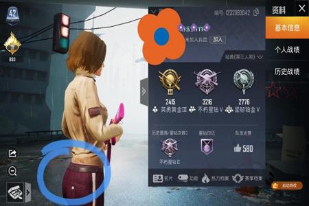 和平精英不开挂的游戏名字