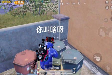 和平精英一小伙做的搞笑外挂(和平精英里面的搞笑外挂)