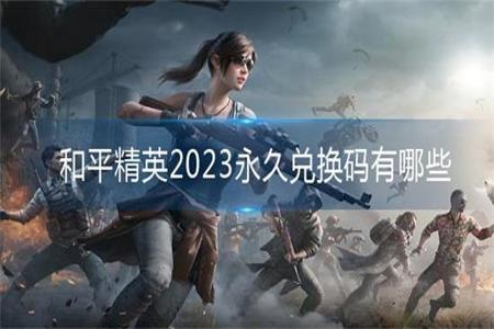 和平精英端游吃鸡外挂网站