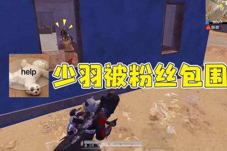 和平精英少羽看见开外挂的人（和平精英少羽开外挂视频）