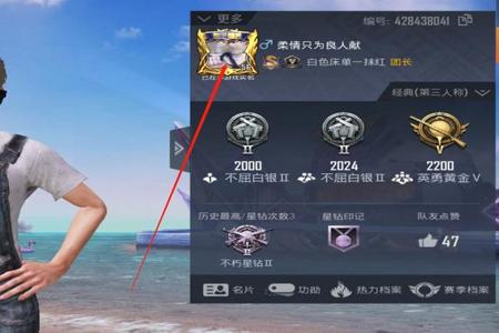 和平精英挂脖搂腰式抱抱加电摇(和平精英怎么跳连续电摇)