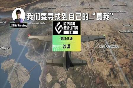 和平精英营养师的保镖是外挂(和平精英营养师高级保镖)