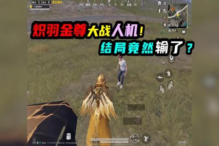 和平精英炽羽金尊被查有外挂(和平精英金尊法老有外挂吗)