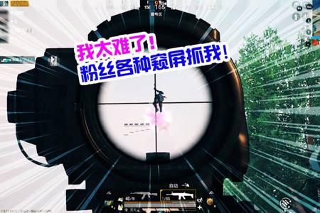 和平精英开挂窥屏会被别人发现吗(和平精英开挂会被系统发现么)