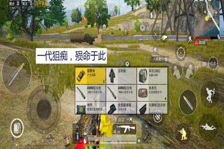 和平精英外挂真实视角是什么样(和平精英外挂的视角是什么样的)