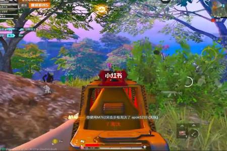 和平精英里面是不是有很多挂(和平精英是不是有挂)