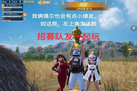 和平精英自己开挂队友视角