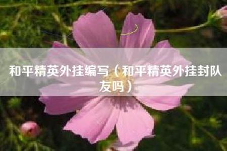 和平精英怎么开挂免费版苹果手机(和平精英怎样开外挂苹果手机版)