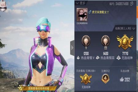 和平精英游戏外挂是什么意思(和平精英外挂是什么意思)