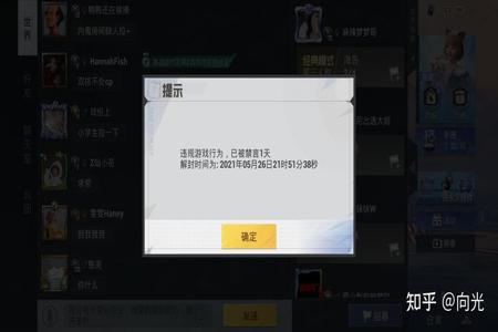 和平精英外挂开后屏幕点不了(和平精英开挂屏幕动不了)