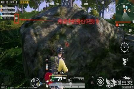 和平精英里面的挂是不是太多了(和平精英挂太多了)