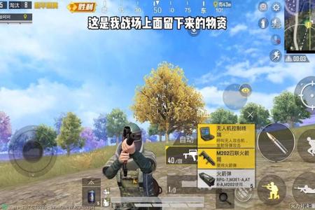和平精英开外挂以后是什么样子(和平精英外挂是什么样的)