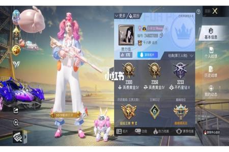 和平精英怎么别人有没有开过挂(和平精英怎么查有没有开挂)
