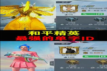 和平精英里面名字带护的都是挂吗(和平精英里面的挂有几个)