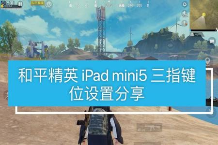 iplay平板和平精英开挂（ipad和平精英可以开挂吗）