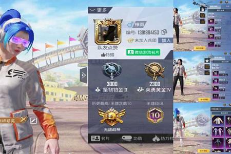 和平精英外挂巡查员最搞笑的(和平精英外挂巡查员奖励)