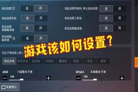 和平精英有没有官方外挂设置(和平精英里面的官方外挂设置)