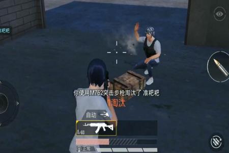 和平精英游戏设置里自带外挂(和平精英手机设置自带外挂)
