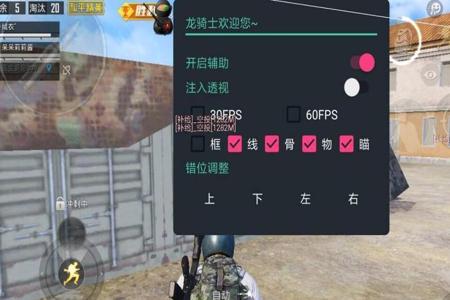 国内最大和平精英的辅助网站