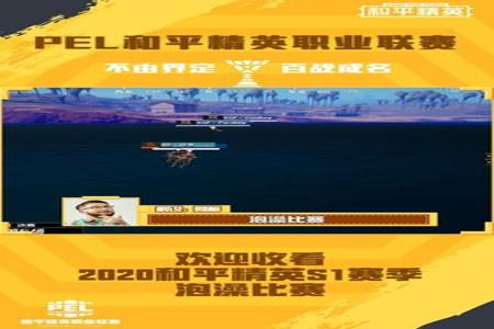 pel和平精英职业联赛外挂(pel和平精英职业联赛混入外挂)