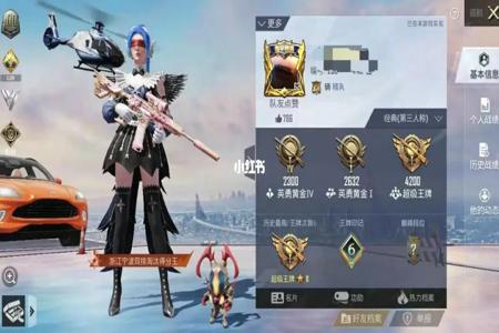 和平精英开过挂是禁止上战区榜吗(和平精英开过挂能上战神吗)