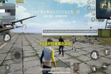 和平精英开外挂吓死出生岛的人(和平精英开过外挂的人)